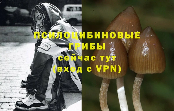 стафф Лихославль