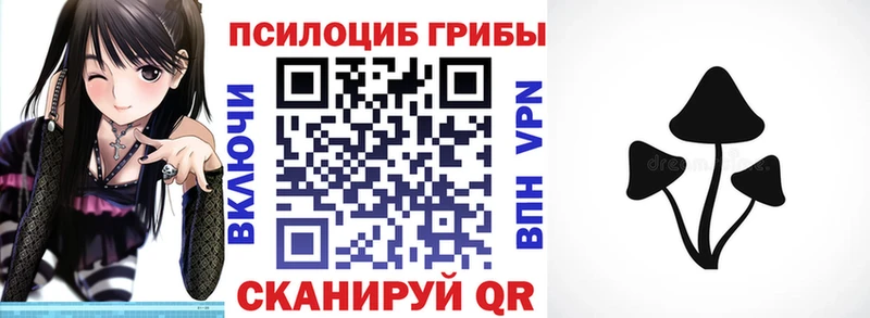 МЕГА ссылки  Чухлома  Галлюциногенные грибы Cubensis 
