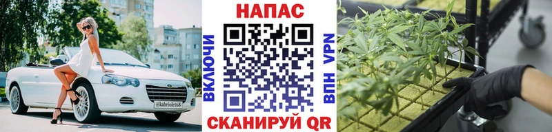 Канабис OG Kush  Чухлома 